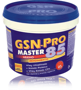 GSN PRO MASTER 85 1000GR (CHOC. Y VAIN.)