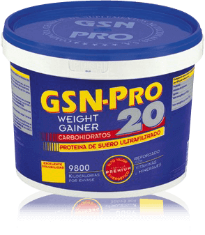 DESCATALOGADO ENERO 2024 GSN PRO- 20  2500GR ( CHOC O VAINILLA) PROTEINA+ CARBOH.