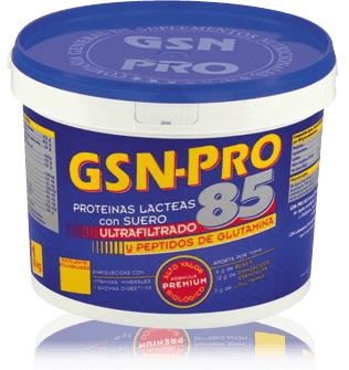 DESCATALOGADO ENERO-24 GSN PRO- 85  1000GR ( CHOCOL O VAINI ). PROTEÍNA LÁCTEA