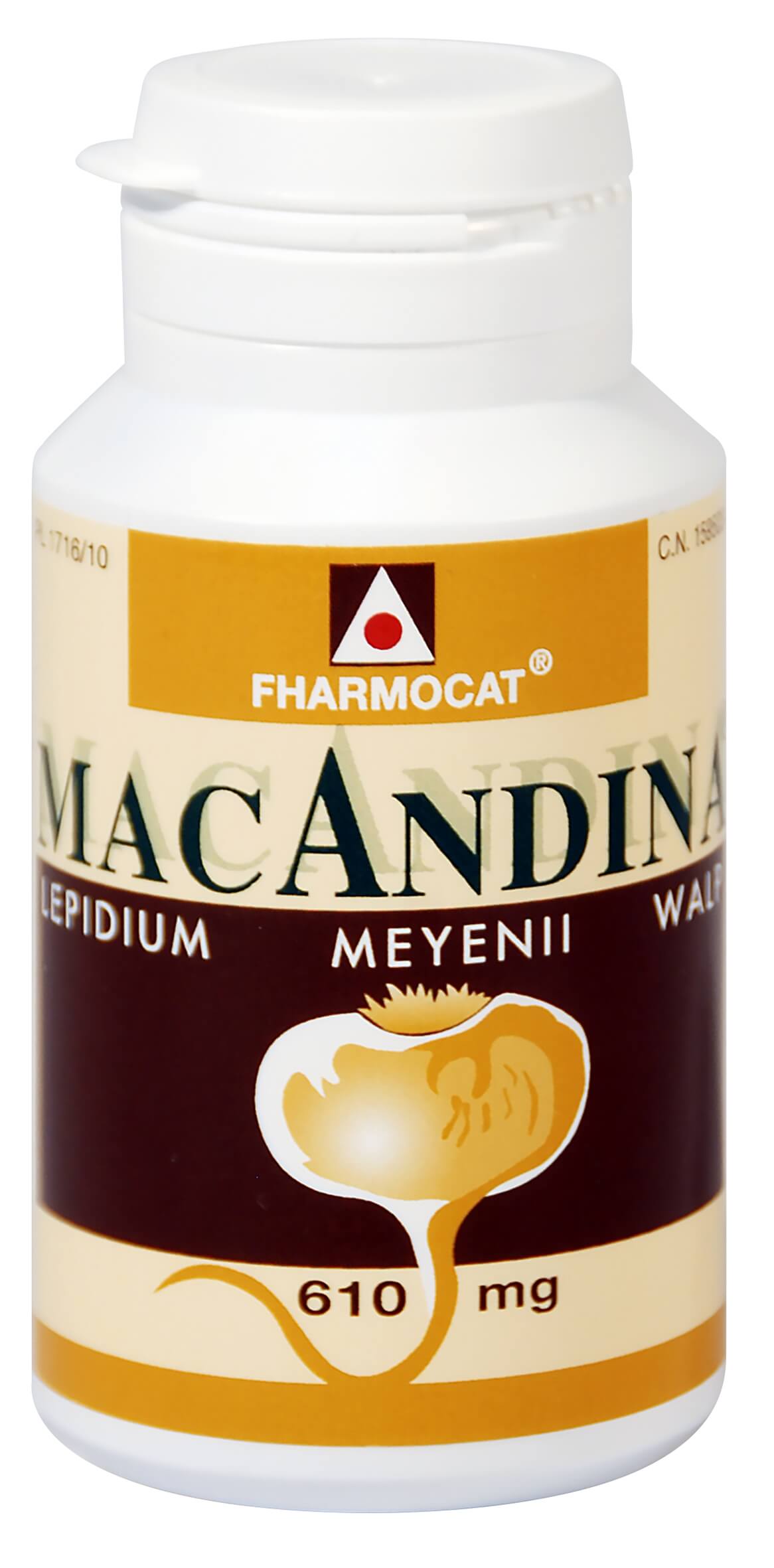 MACANDINA(60 CÁP X 500 MG).