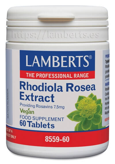 RHODIOLA ROSEA 3125MG (7,5MG ROSAVINAS) NUEVA